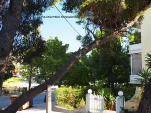 Σύγχρονη υλοτομία πόλεως και στην Ελλάδα