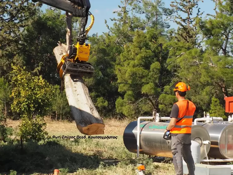 Σύγχρονη υλοτομία πόλεως και στην Ελλάδα