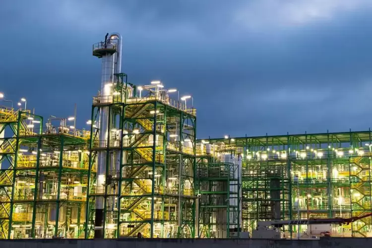 Το ερευνητικό έργο RUNFASTER4EU και οι καινοτόμες μέθοδοι καλλιέργειας ελαιούχων φυτών Το ερευνητικό έργο Runfaster4eu και οι καινοτόμες μέθοδοι καλλιέργειας ελαιούχων φυτών