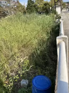 Ζητούν να καθαριστεί το ρέμα παραλίας Μακρυγιάλου