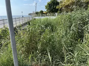 Ζητούν να καθαριστεί το ρέμα παραλίας Μακρυγιάλου