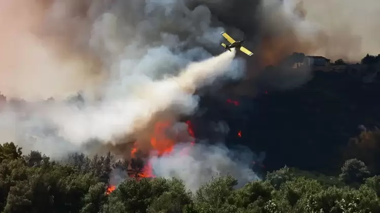 Reuters: Ο «σιωπηλός ένοχος» πίσω από τις καταστροφικές πυρκαγιές στην Ελλάδα Reuters: Ο «σιωπηλός ένοχος» πίσω από τις καταστροφικές πυρκαγιές στην Ελλάδα
