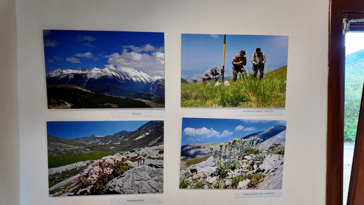 Αυτόματο προσχέδιο