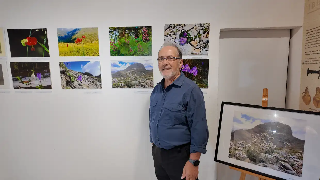 Αυτόματο προσχέδιο