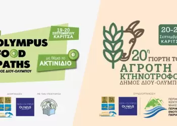 Αυτόματο προσχέδιο