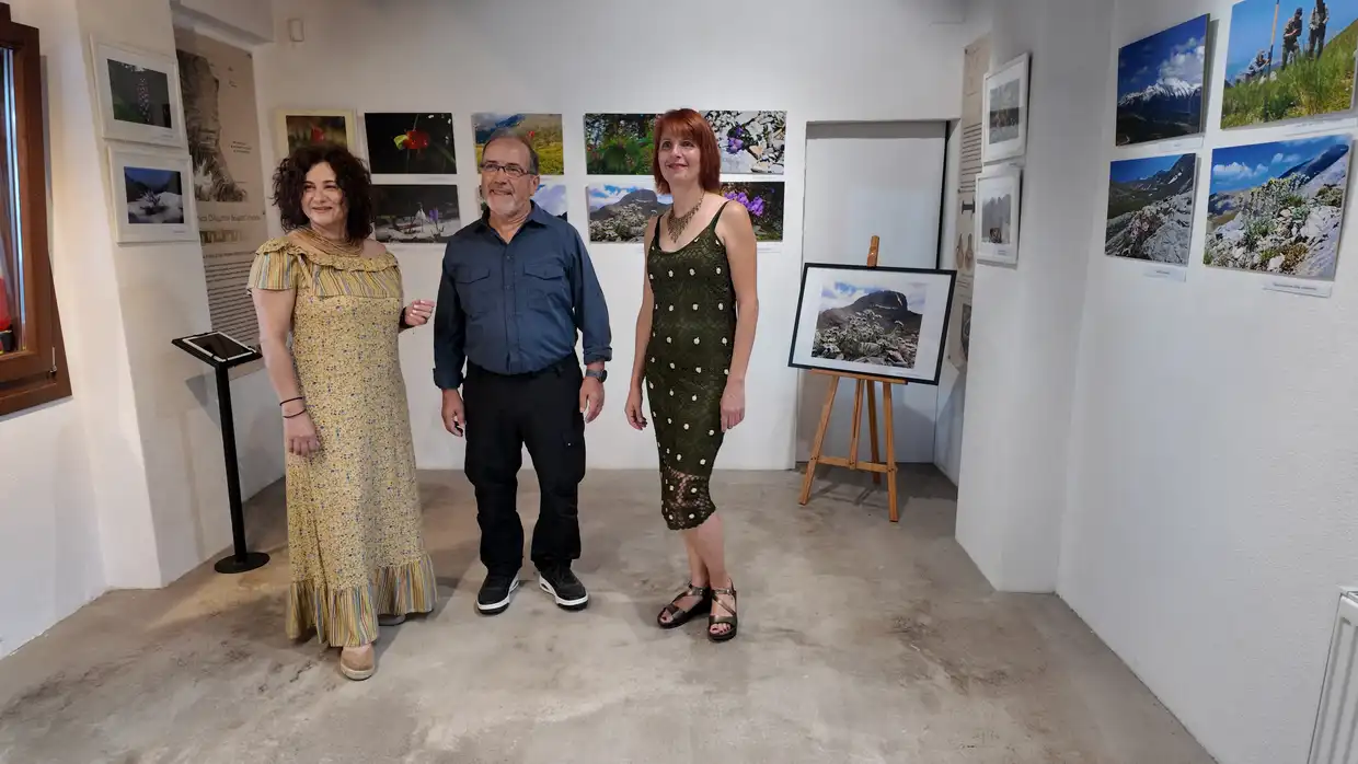 Αυτόματο προσχέδιο