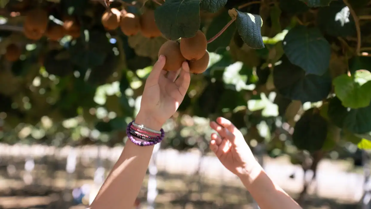 Δήμος Δίου-Ολύμπου: Σήμερα Σάββατο 20/09 τα εγκαίνια της 20ης Γιορτής του Αγρότη & Κτηνοτρόφου στο δημοτικό γήπεδο Καρίτσας (εικόνες) Δήμος Δίου Ολύμπου: Σήμερα Σάββατο 20/09 τα εγκαίνια της 20ης Γιορτής του Αγρότη & Κτηνοτρόφου στο δημοτικό γήπεδο Καρίτσας
