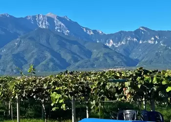 Δήμος Δίου Ολύμπου: Σήμερα Σάββατο 20/09 τα εγκαίνια της 20ης Γιορτής του Αγρότη & Κτηνοτρόφου στο δημοτικό γήπεδο Καρίτσας