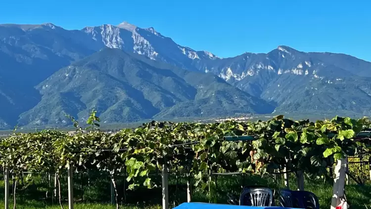 Δήμος Δίου-Ολύμπου: Σήμερα Σάββατο 20/09 τα εγκαίνια της 20ης Γιορτής του Αγρότη & Κτηνοτρόφου στο δημοτικό γήπεδο Καρίτσας (εικόνες) Δήμος Δίου Ολύμπου: Σήμερα Σάββατο 20/09 τα εγκαίνια της 20ης Γιορτής του Αγρότη & Κτηνοτρόφου στο δημοτικό γήπεδο Καρίτσας