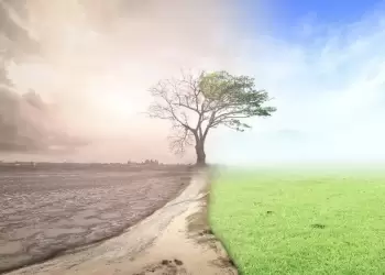 Δραματική έκκληση επιστημόνων για το κλίμα: Απειλείται η ευημερία και η ίδια η επιβίωση του Ανθρώπου