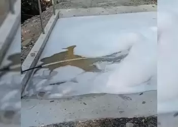 Ευλογιά αιγοπροβάτων: Μέτρα προστασίας κτηνοτρόφων στην Πιερία