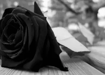 Κατερίνη: Έφυγε από την ζωή ο Ορφανίδης Χαράλαμπος σε ηλικία 61 ετών