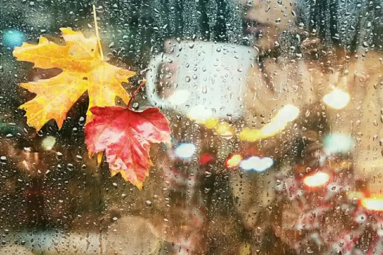 Πώς θα είναι ο καιρός σε Κατερίνη και Πιερία σήμερα Κυριακή, 28 Σεπτεμβρίου 2025: Νεφώσεις με βροχές και καταιγίδες