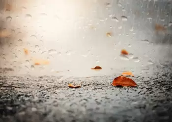 Πώς θα είναι ο καιρός σε Κατερίνη και Πιερία σήμερα Δευτέρα, 29 Σεπτεμβρίου 2025: Νεφώσεις με τοπικές βροχές Πώς θα είναι ο καιρός σε Κατερίνη και Πιερία σήμερα Δευτέρα, 29 Σεπτεμβρίου 2025: Νεφώσεις με τοπικές βροχές