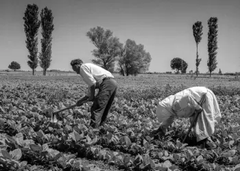Ρυμοτομία, ποιότητα ζωής και καθημερινή ζωή στην Κατερίνη (1925 1960)