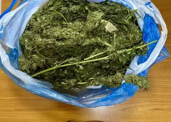 Σύλληψη στην Πιερία για ναρκωτικά: Κατασχέθηκαν 476 γραμμάρια κάνναβης