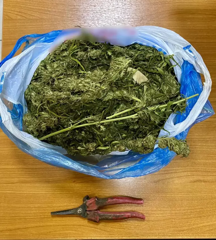 Σύλληψη στην Πιερία για ναρκωτικά: Κατασχέθηκαν 476 γραμμάρια κάνναβης Σύλληψη στην Πιερία για ναρκωτικά: Κατασχέθηκαν 476 γραμμάρια κάνναβης