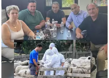 Συνάντηση του Βουλευτή Δελβερούδη Κομνηνού με Εκπροσώπους των Κτηνοτρόφων της Πιερίας, για την ευλογιά των αιγοπροβάτων Συνάντηση του Βουλευτή Δελβερούδη Κομνηνού με Εκπροσώπους των Κτηνοτρόφων της Πιερίας, για την ευλογιά των αιγοπροβάτων