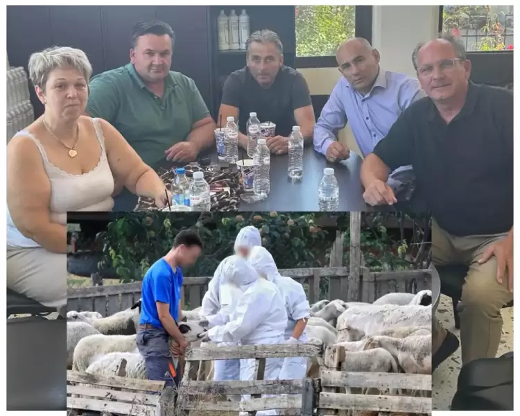 Συνάντηση του Βουλευτή Δελβερούδη Κομνηνού με Εκπροσώπους των Κτηνοτρόφων της Πιερίας, για την ευλογιά των αιγοπροβάτων