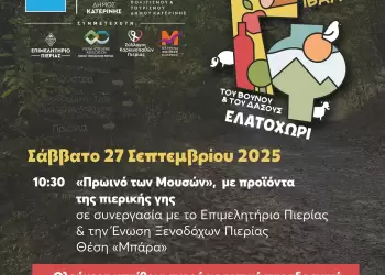Το Επιμελητήριο Πιερίας στο «Γαστρονομικό Φεστιβάλ του Βουνού & του Δάσους» 27 – 28 Σεπτεμβρίου 2025, Ελατοχώρι Πιερίας