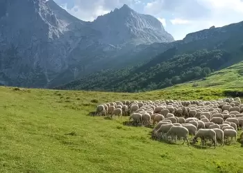 Χάρτης ΟΠΕΚΕΠΕ: Τα «κόκκινα» ΑΦΜ και οι παράνομες επιδοτήσεις ανά Περιφέρεια