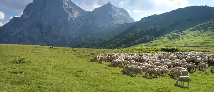Χάρτης ΟΠΕΚΕΠΕ: Τα «κόκκινα» ΑΦΜ και οι παράνομες επιδοτήσεις ανά Περιφέρεια