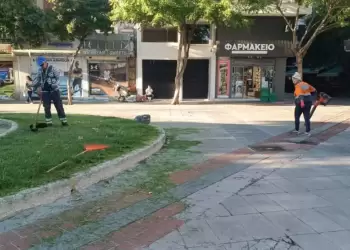Υπηρεσία Πρασίνου Δήμου Κατερίνης – Καθημερινή φροντίδα για το πράσινο