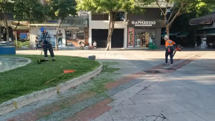 Υπηρεσία Πρασίνου Δήμου Κατερίνης – Καθημερινή φροντίδα για το πράσινο