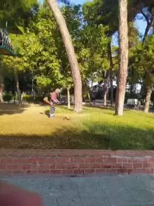 Υπηρεσία Πρασίνου Δήμου Κατερίνης – Καθημερινή φροντίδα για το πράσινο