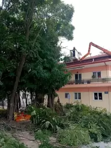 Υπηρεσία Πρασίνου Δήμου Κατερίνης – Καθημερινή φροντίδα για το πράσινο