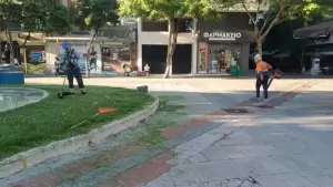 Υπηρεσία Πρασίνου Δήμου Κατερίνης – Καθημερινή φροντίδα για το πράσινο