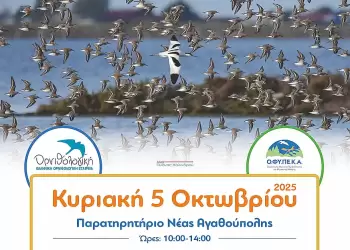 Αυτόματο προσχέδιο