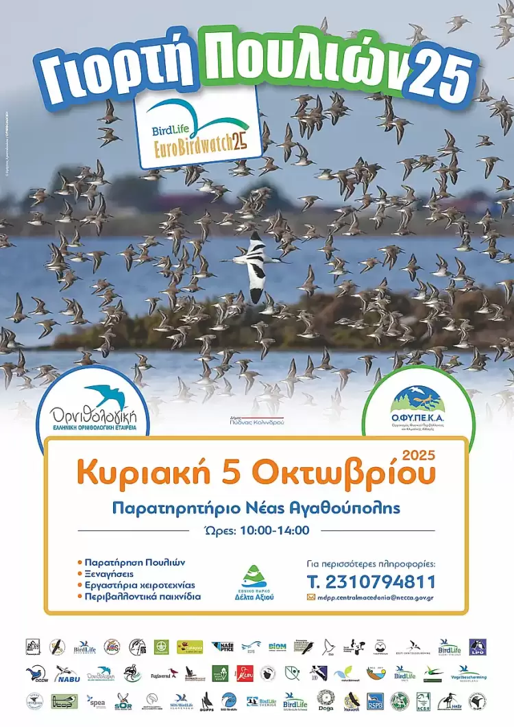 Αυτόματο προσχέδιο