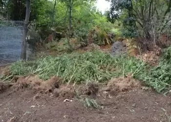 Ένωση Αστυνομικών Υπαλλήλων Πιερίας: Συγχαρητήρια ανακοίνωση για τους Αστυνομικούς του ΤΔΝ Κατερίνης