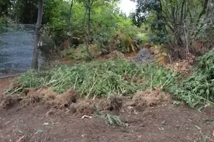 Ένωση Αστυνομικών Υπαλλήλων Πιερίας: Συγχαρητήρια ανακοίνωση για τους Αστυνομικούς του ΤΔΝ Κατερίνης Ένωση Αστυνομικών Υπαλλήλων Πιερίας: Συγχαρητήρια ανακοίνωση για τους Αστυνομικούς του ΤΔΝ Κατερίνης