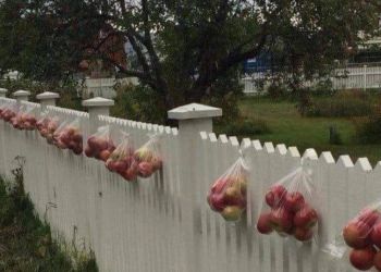 Έτσι πρέπει να κάνουμε κι εμείς