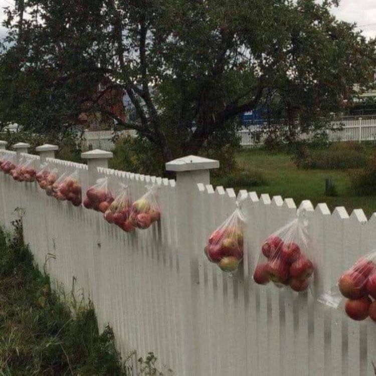 Έτσι πρέπει να κάνουμε κι εμείς Έτσι πρέπει να κάνουμε κι εμείς