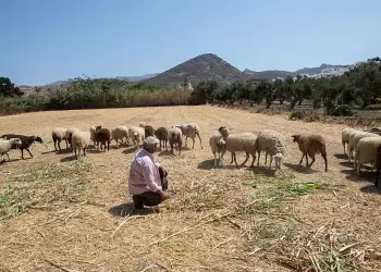 Γερνάει η γεωργία στην Ευρώπη