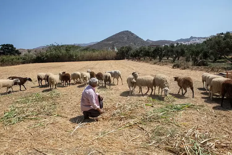 Γερνάει η γεωργία στην Ευρώπη