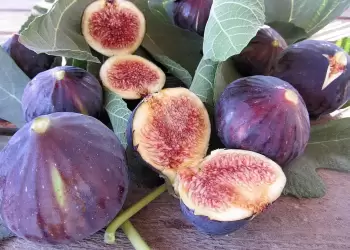 Όλα όσα πρέπει να ξέρει κανείς για τα σύκα