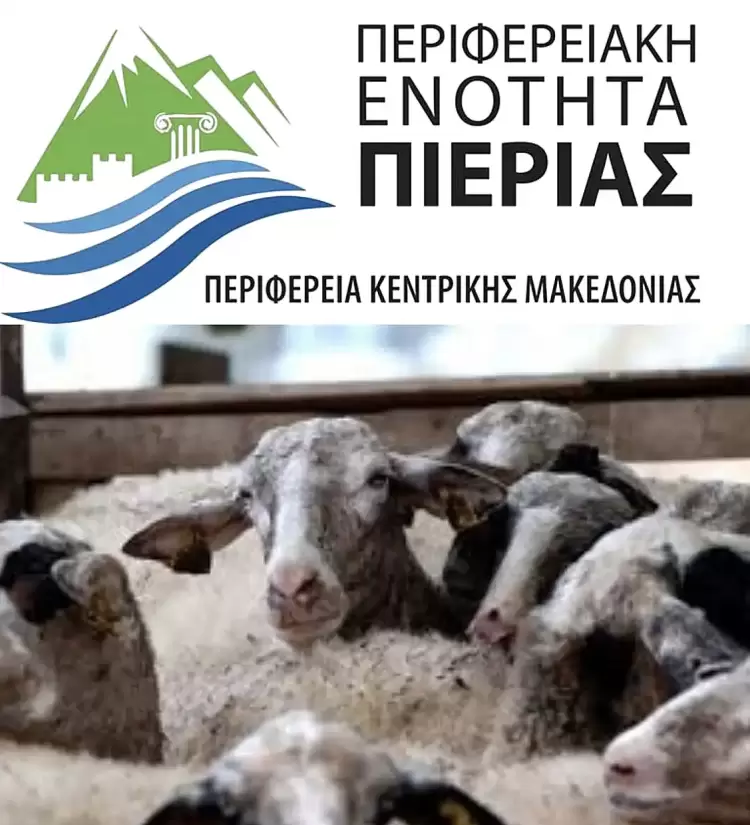 Πιερία: 4 Σταθμοί Απολύμανσης Οχημάτων για την Προστασία της Κτηνοτροφίας Πιερία: 4 Σταθμοί Απολύμανσης Οχημάτων για την Προστασία της Κτηνοτροφίας