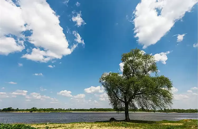 Πώς θα είναι ο καιρός σε Κατερίνη και Πιερία σήμερα Τρίτη, 28 Οκτωβρίου 2025: Γενικά αίθριος με λίγες νεφώσεις Πώς θα είναι ο καιρός σε Κατερίνη και Πιερία σήμερα Τρίτη, 28 Οκτωβρίου 2025: Γενικά αίθριος με λίγες νεφώσεις