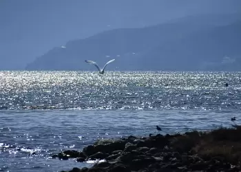 Πώς θα είναι ο καιρός σε Κατερίνη και Πιερία σήμερα Κυριακή, 05 Οκτωβρίου 2025: Αίθριος με λίγες νεφώσεις