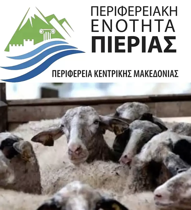 Στήριξη των κτηνοτρόφων της Πιερίας και εξεύρεση λύσης στο φλέγον ζήτημα της ευλογιάς