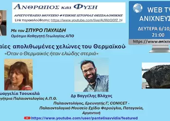 Τιτανοχελώνες Θερμαϊκού: Οι γιγαντιαίες χελώνες 3 5 εκατ. ετών