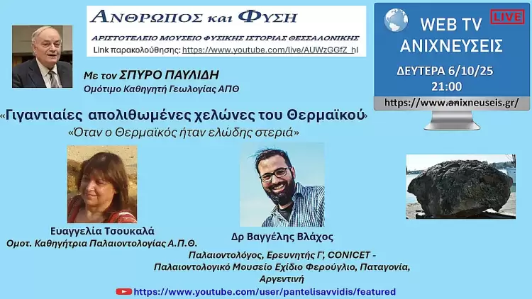 Τιτανοχελώνες Θερμαϊκού: Οι γιγαντιαίες χελώνες 3 5 εκατ. ετών