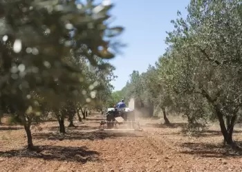 Το «Χρηματιστήριο ρύπων» πληρώνει τους Έλληνες αγρότες Το «Χρηματιστήριο ρύπων» πληρώνει τους Έλληνες αγρότες