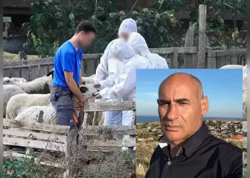 Βουλευτής Κ. Δελβερούδης: Προχειρότητα - Ανεπάρκεια Κυβερνητικών Χειρισμών για τη ζωονόσο της ευλογιάς Βουλευτής Κ. Δελβερούδης: Προχειρότητα – Ανεπάρκεια Κυβερνητικών Χειρισμών για τη ζωονόσο της ευλογιάς