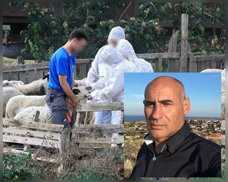 Βουλευτής Κ. Δελβερούδης: Προχειρότητα – Ανεπάρκεια Κυβερνητικών Χειρισμών για τη ζωονόσο της ευλογιάς