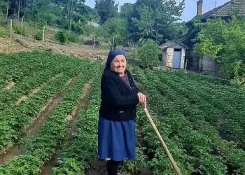 Η ζωή στο χωριό δεν είναι τόσο ρομαντική